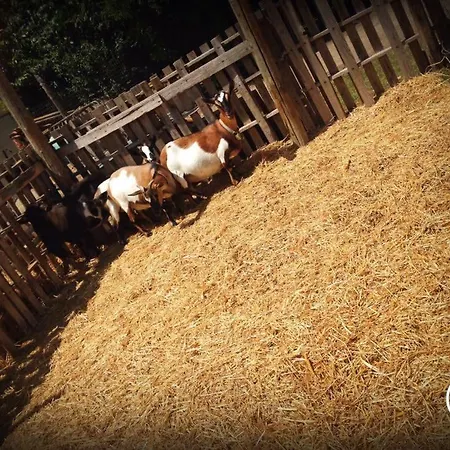 Bed and breakfast Antica Forneria Capaccio