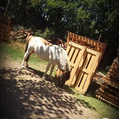 Antica Forneria ベッド・アンド・ブレックファスト