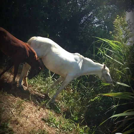 ベッド・アンド・ブレックファスト Antica Forneria 3*